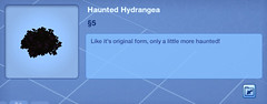 Haunted Hydrangea