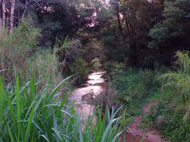 One Mile Creek
