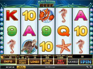 Dolphin Reef slot game online review