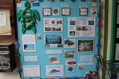 WTW在社區裡的超市門口放置展示版，即時更新救傷中心內的海龜數目、野放的數目；即介紹海龜保育概況。展示版上並創意使用海洋廢棄物做裝飾。（許惠婷攝。）