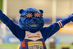 UK Indoor Athletics Championships 2015