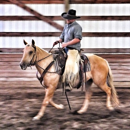 I just love to watch him ride. #sunshine #horse #cowboy #summer