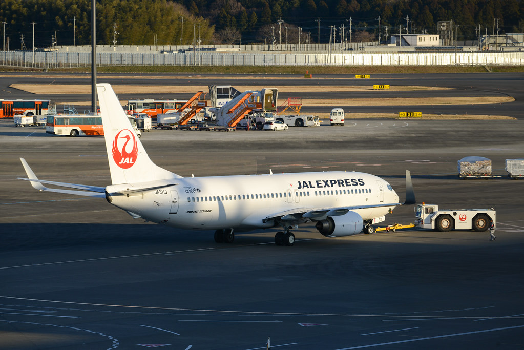 JAL 737-800 JA311J