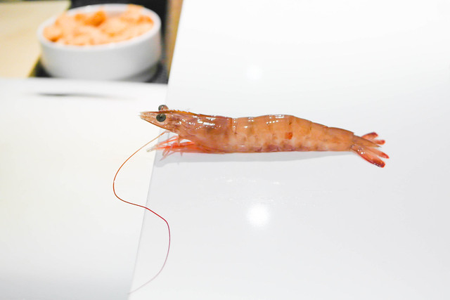 (live) tiger shrimp