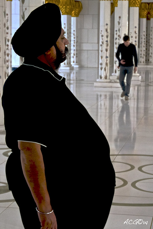 Mezquita de Abu Dhabi, Ferrari World y las fuentes de Dubai Mall - ¡Dubai, a la caza del Record Guinness! (17)