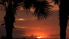 Florida Sunrise and Sunsets