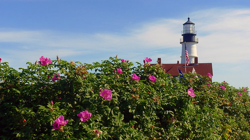 At Portland Head Light, Cape Elizabeth, Maine by nelights