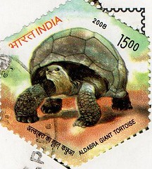 Postage Stamps  - India