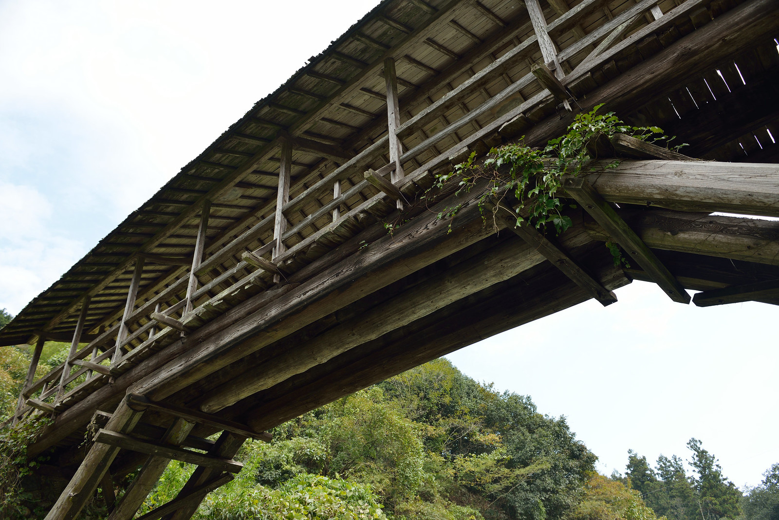 河内の屋根つき橋 田丸橋
