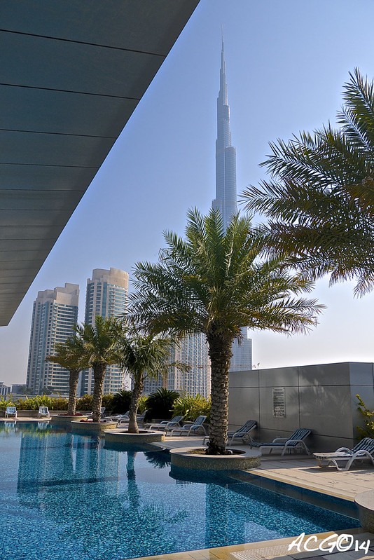 ¡Dubai, a la caza del Record Guinness! - Blogs de Emiratos A. U. - Mezquita de Abu Dhabi, Ferrari World y las fuentes de Dubai Mall (1)