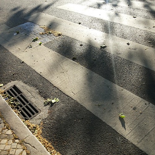 #crosswalk #shadows #street #gutter by Joaquim Lopes