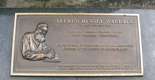 plaque on grave of Alfred Russel Wallace