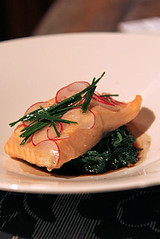 salmon with spinach IMG_9613 R