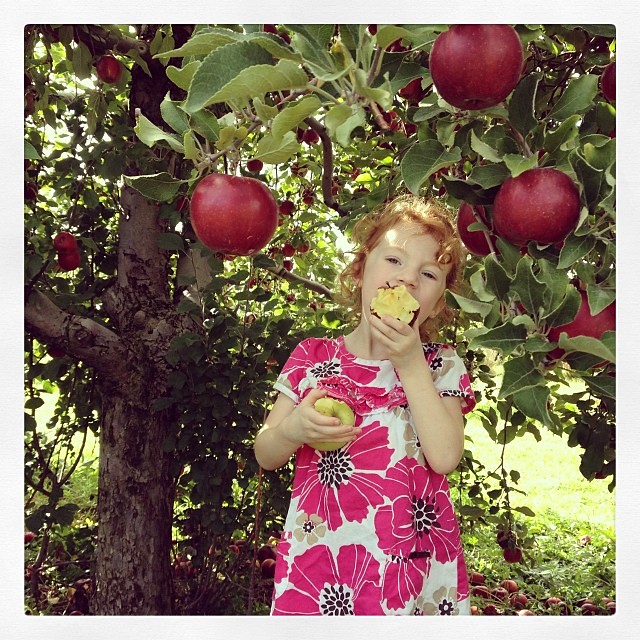 Double fisted at Patterson's Apple Orchard. #apple #orchard #fall #fallinCLE #happyinCLE #apples