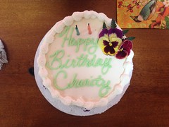 Happy Birthday Charity! by Guzilla