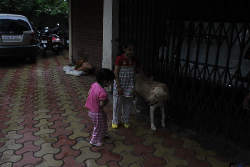 Lucky The Labrador And My Grand Kids by firoze shakir photographerno1