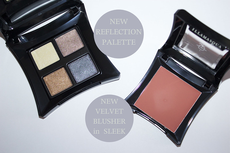 reflection palette and blusher