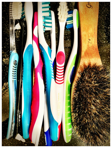 There's way too many of us and who invited hair brush ? - #174/365 by PJMixer