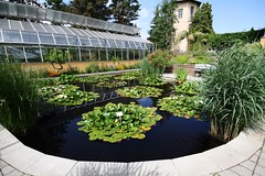 Halle (Saale) - Botanischer Garten 