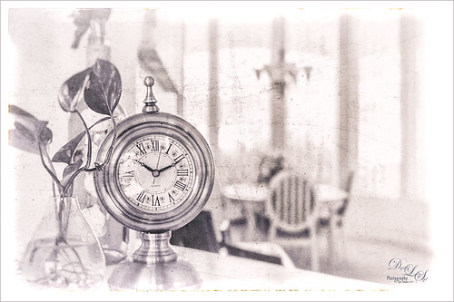 Monochromatic image of plant and clock 