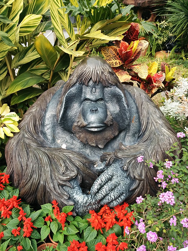gorilla statue @ botanical gardens