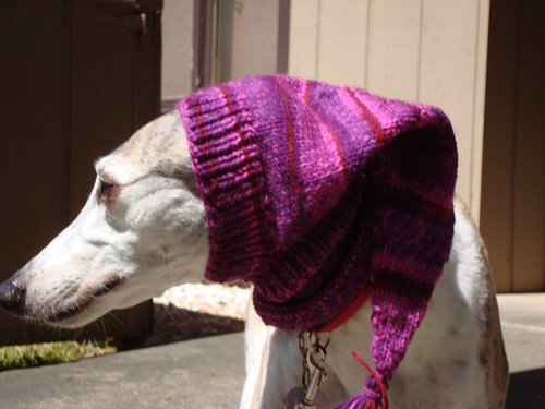 Pointy Pink Greyhound Hood