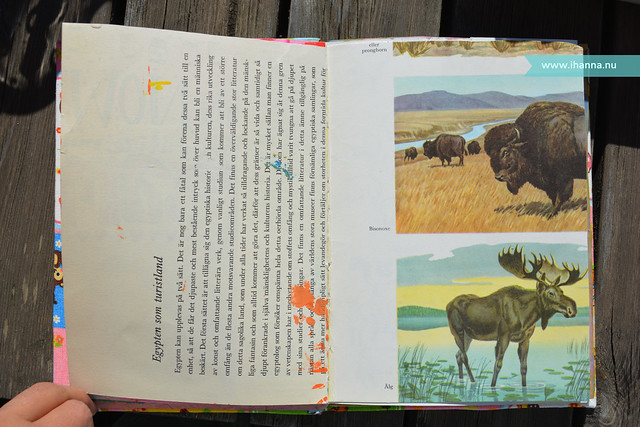 Art Journal Elk Page Before