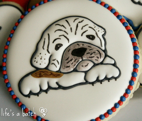 Bulldog cookie.