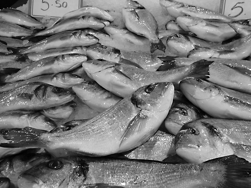 Fish, black and white width=