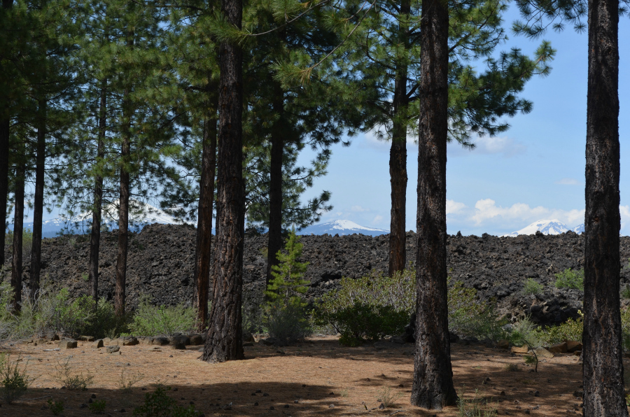 DSC_0372_PM_lava_height_trees_mtns_distance