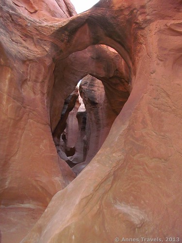 Pretty Arches in Peek-a-Boo Slot, Dry Fork Slots, Grand Staircase-Escalante National Monument, Utah