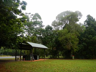 Mary Cairncross Reserve