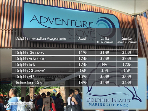 dolphin island marine life park