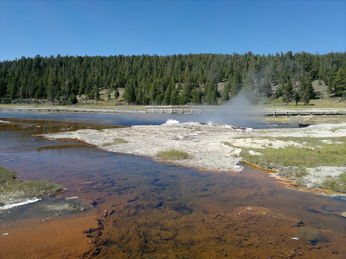 Martes Día 23 de Julio: Yellowstone (II) - 25 días por los parques nacionales del Oeste de USA: un Road Trip de 10500 kms (69)
