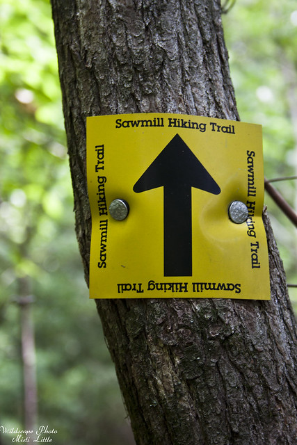 Sawmill Trail