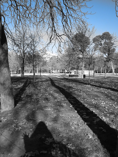 Shadows, Retiro Park, Madrid
