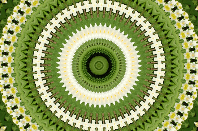 How to Create a Digital Kaleidoscope Mandala