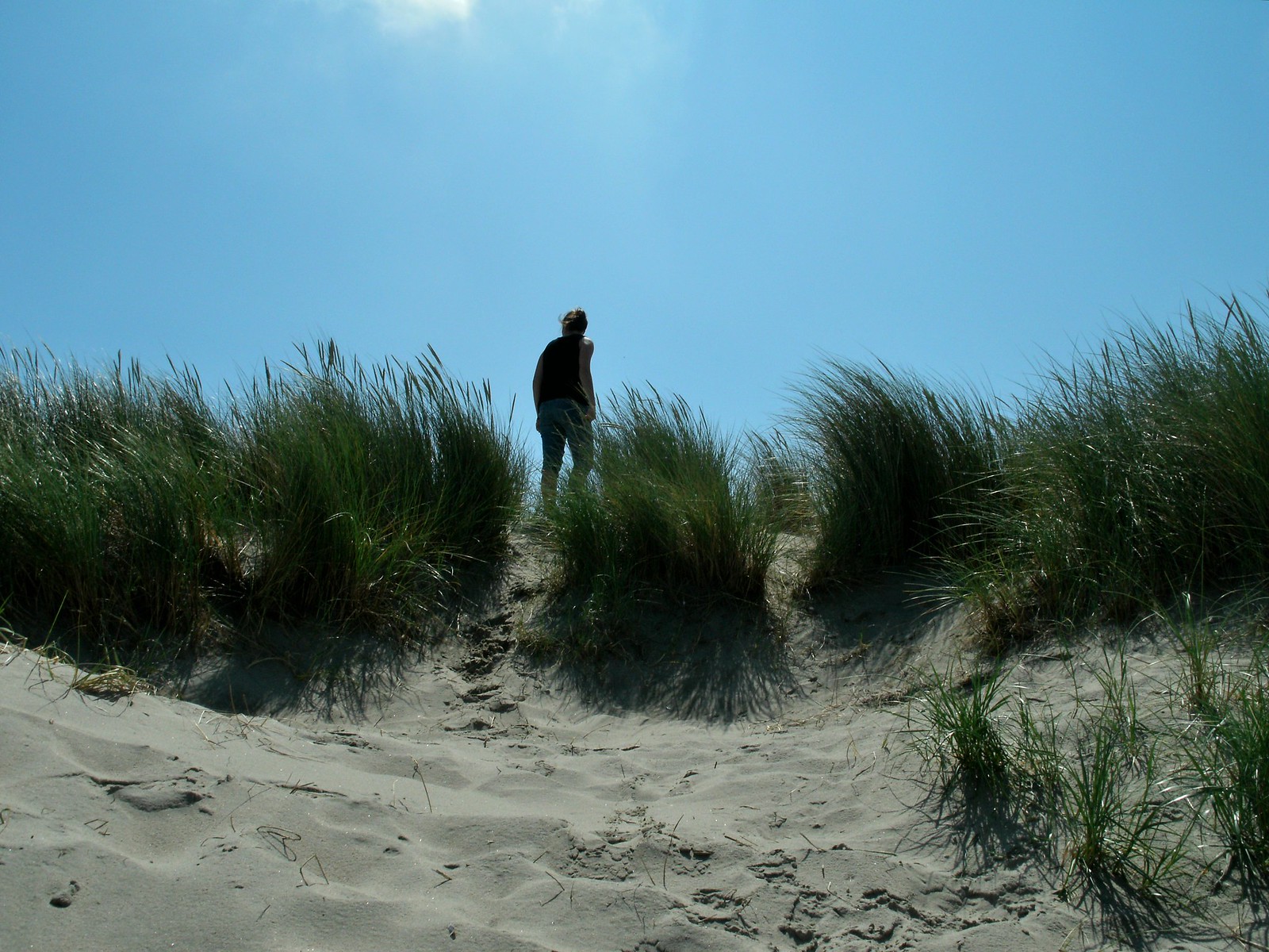A silhouette of a girl in-between the beach vegetation.