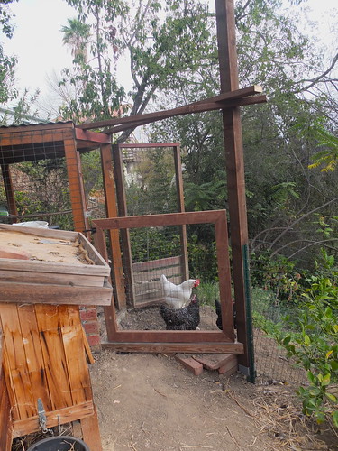 completed chicken pen