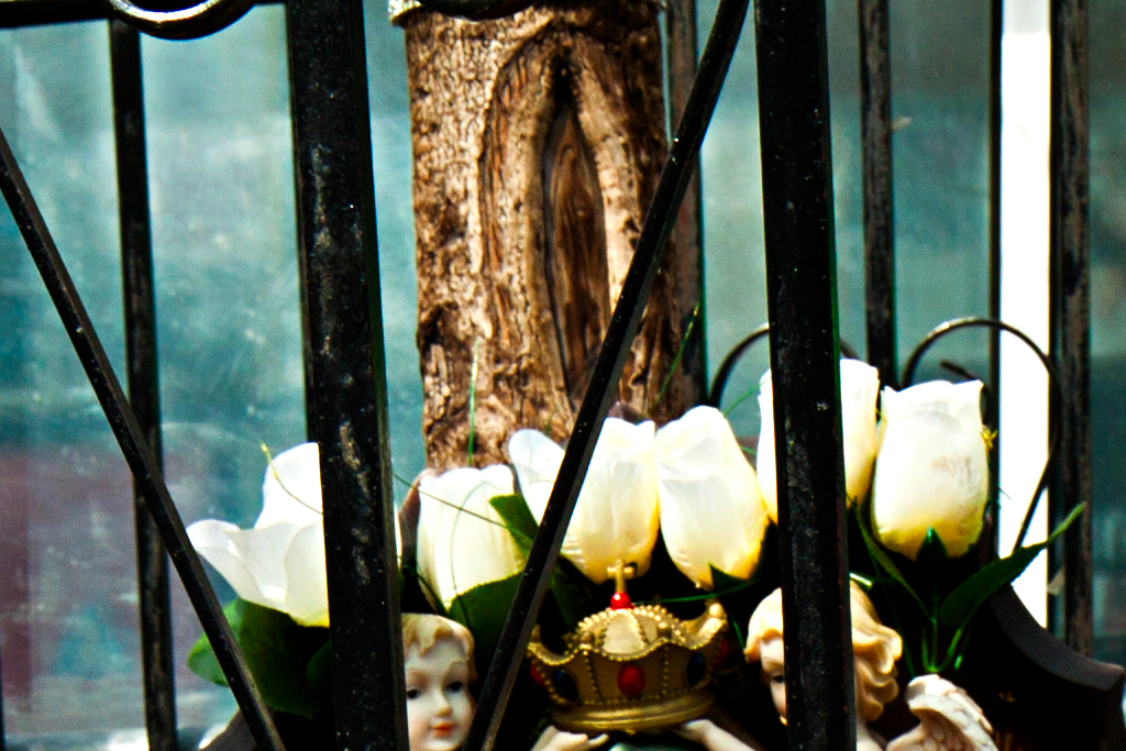 Virgin-Mary-seen-on-tree--West-New-York-(detail)