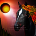 #Black #Beauty #Fire #Horse #Portrait by Bluedarkat on @deviantART