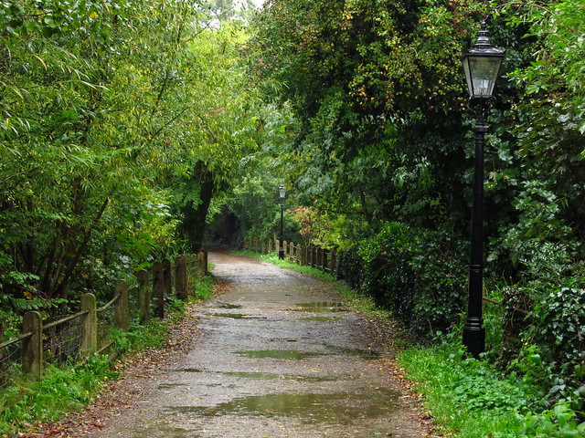 Rainy Path by the Vale of Health Pond