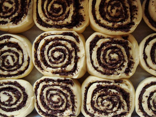 Chocolate Swirl Buns: Proofed