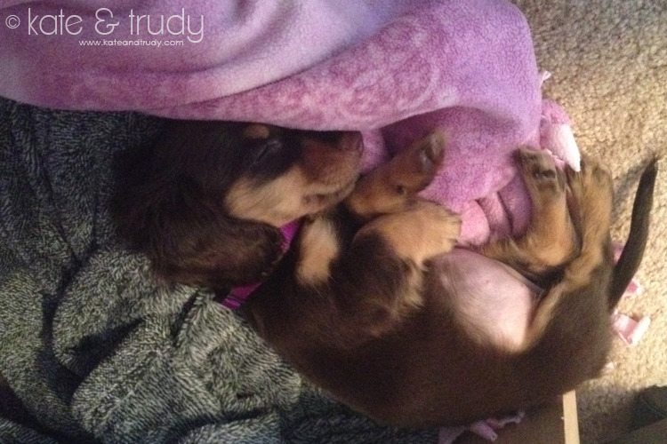 20131008 Trudy's First Week (8)