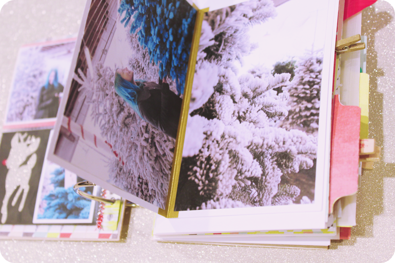 {december 1st} minibook | flap