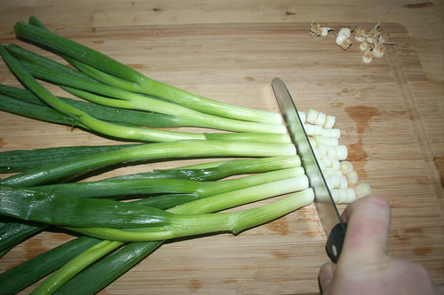 16 - Frühlingszwiebeln in Ringe-schneiden / Cut spring onions in rings