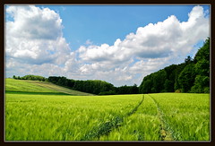 Landschaften - landscape / Hessen