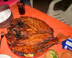 IMG_5889: Grilled Snapper