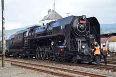Czech steam specials