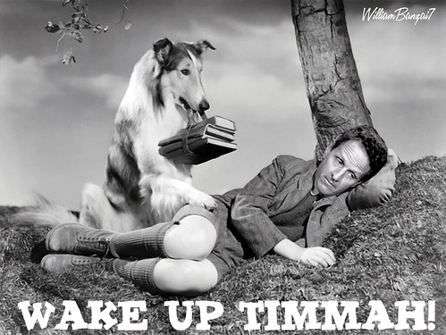 MAKE UP TIMMAH! by WilliamBanzai7/Colonel Flick